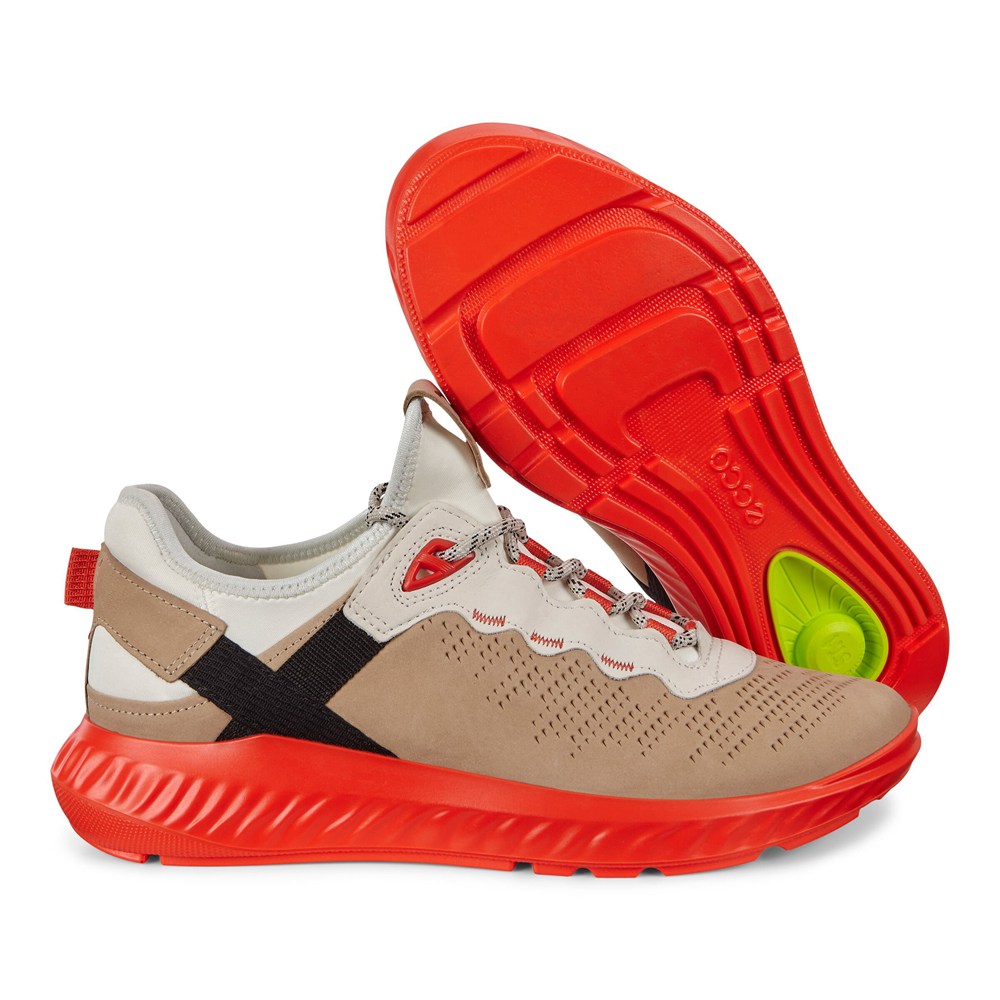 Tenis Hombre - ECCO St.1 Lites - Beige - YVI732890